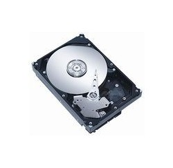 DISQUE DUR RECONDTIONNE pour ACER, APPLE, DELL- HDE721010SLA330 - AHDD035