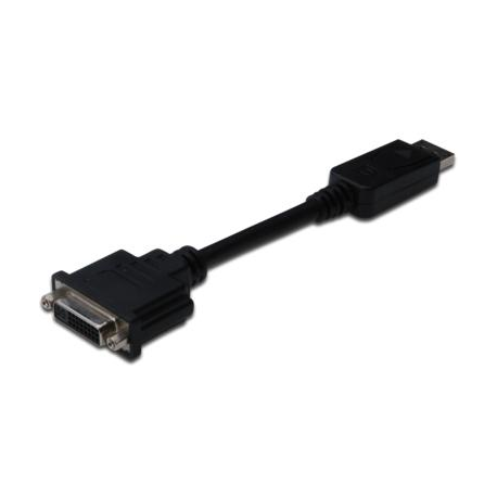 CABLE Displayport V1.2 to DVI M-F  - 484156-001