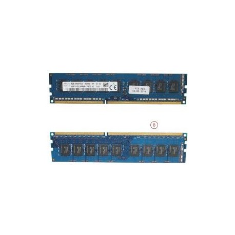 MEMOIRE FUJITSU Primergy TX1310 M1 8GB (1X8GB) 2RX8 L DDR3-1600 U ECC S26361-F5312-L518