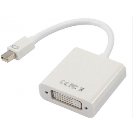 CABLE CONVERTISSEUR MINI DP VERS DVI pour MACBOOK