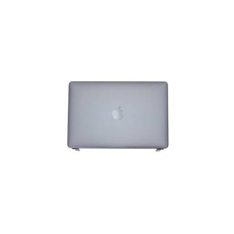 COQUE ECRAN SILVER APPLE A2159 - Gar 6 mois