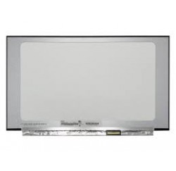 DALLE TACTILE 15.6'' WXGA 1366X768 40 Pins - N156BGN-E43