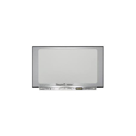 DALLE TACTILE 15.6'' WXGA 1366X768 40 Pins - N156BGN-E43