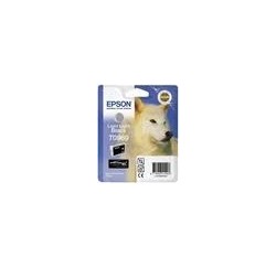 CARTOUCHE EPSON GRIS MAT STYLUS PHOTO R2880 - 11.4ml