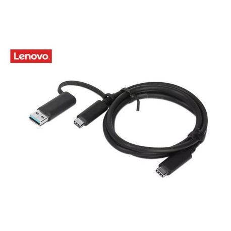 Câble 1m pour dock LENOVO...