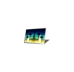 DALLE LCD 15" NEUVE - MAT - XGA - B150XG05